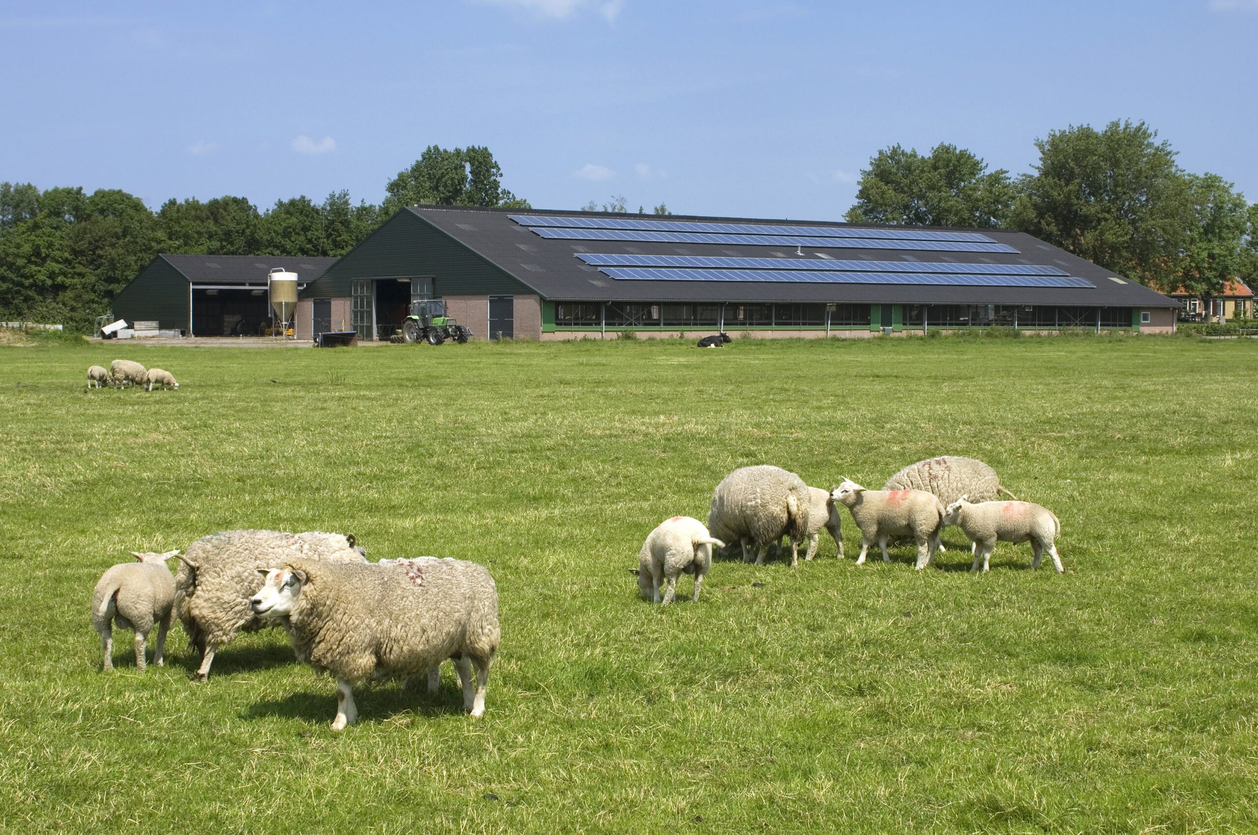 energie-verkopen-zonnepanelen energie-verkopen-zonnepanelen