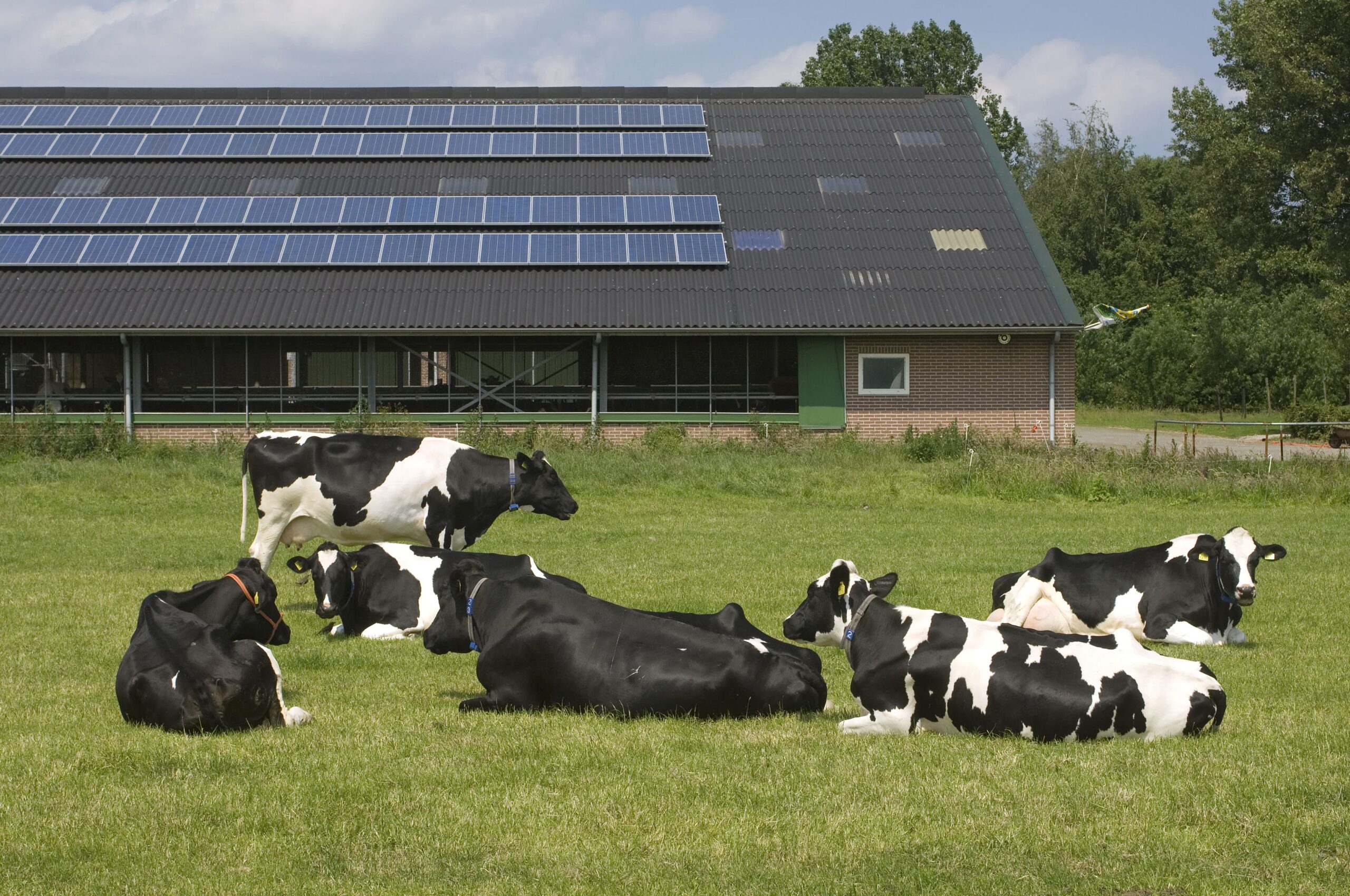 zonnepanelen-boer-zelflevering